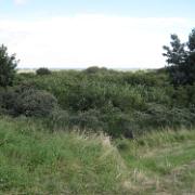IMG 6799