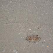 IMG 6826