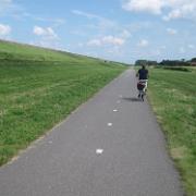 IMG 6835