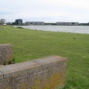 IMG 6846