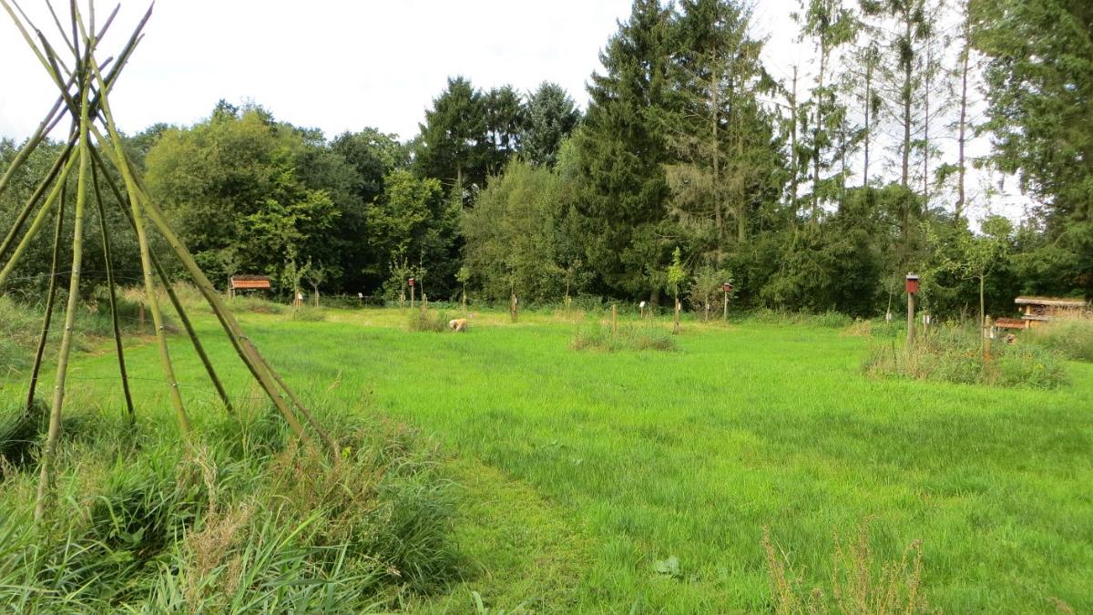 Burlage (26)