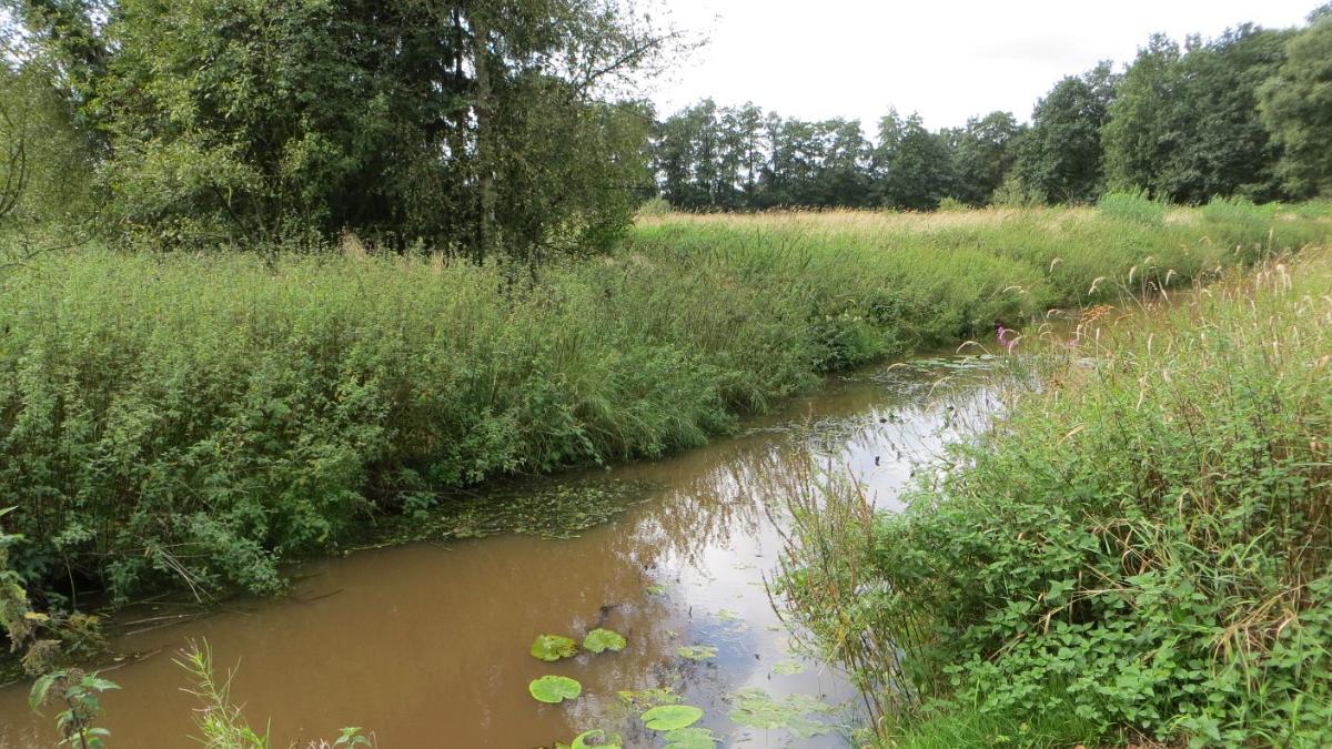 Burlage (27)