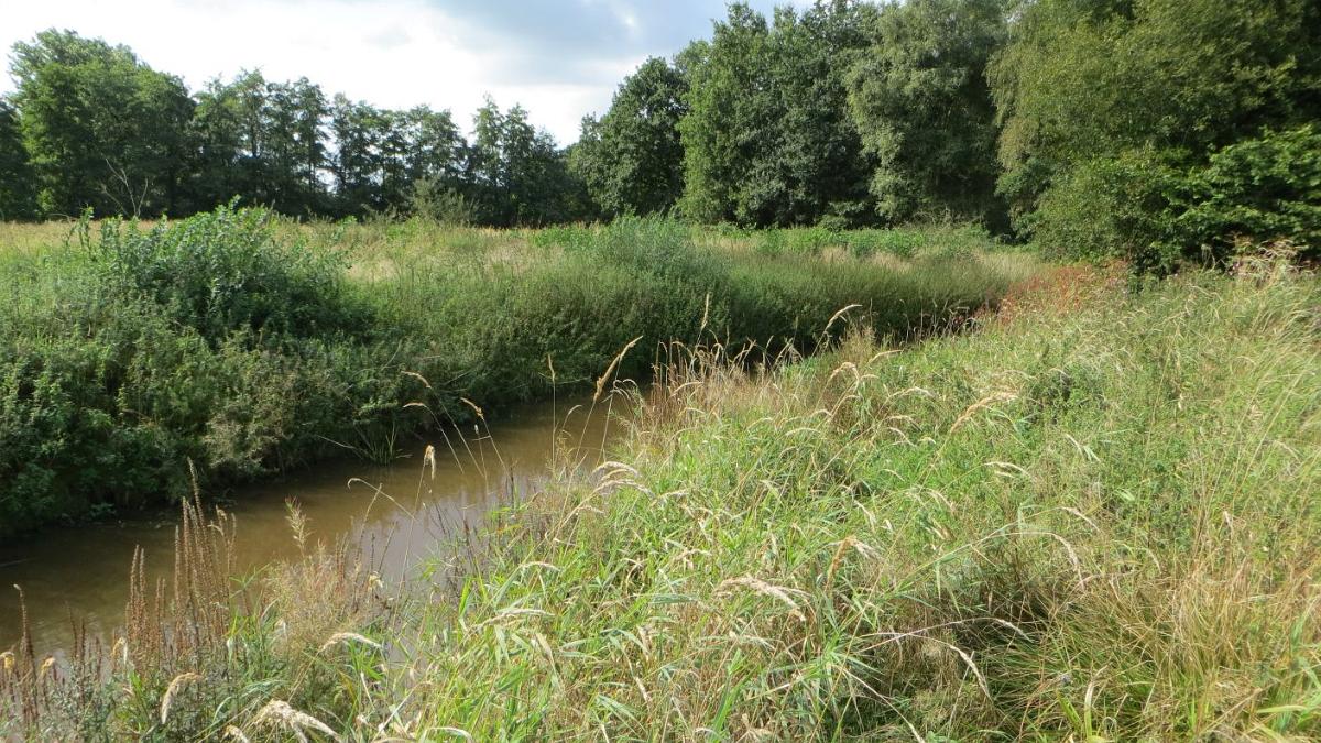 Burlage (46)