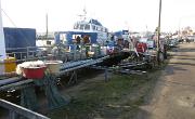IMG 4952