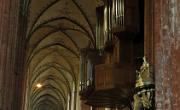 IMG 4977