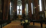 IMG 4979