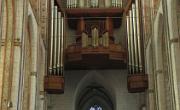 IMG 4980