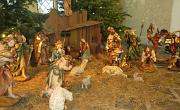 IMG 4981