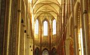 IMG 4985