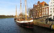 IMG 4994