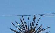IMG 5065