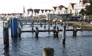IMG 5118