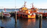 IMG 5119