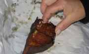 IMG 5153