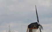 IMG 5474
