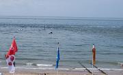 IMG 5534