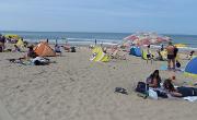 IMG 5568