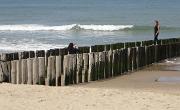 IMG 5570