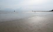 IMG 5583