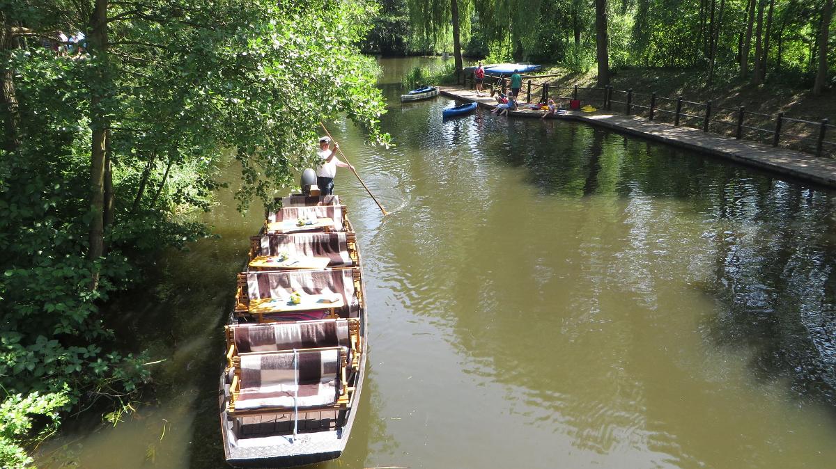 Spreewald (205)