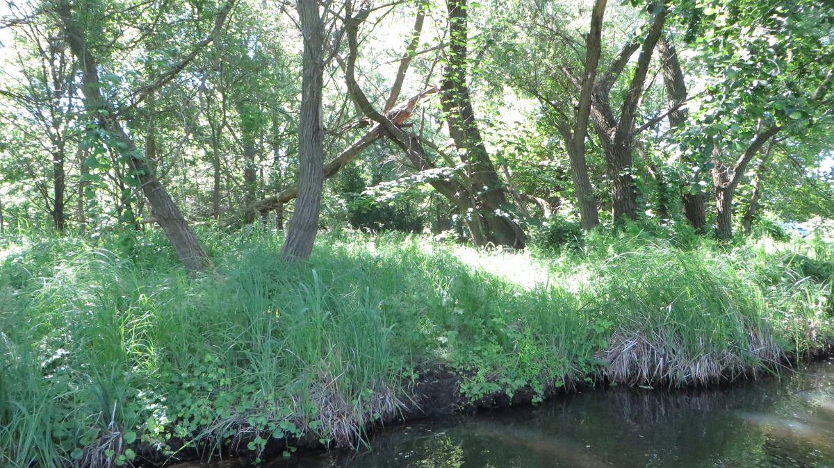 Spreewald (53)