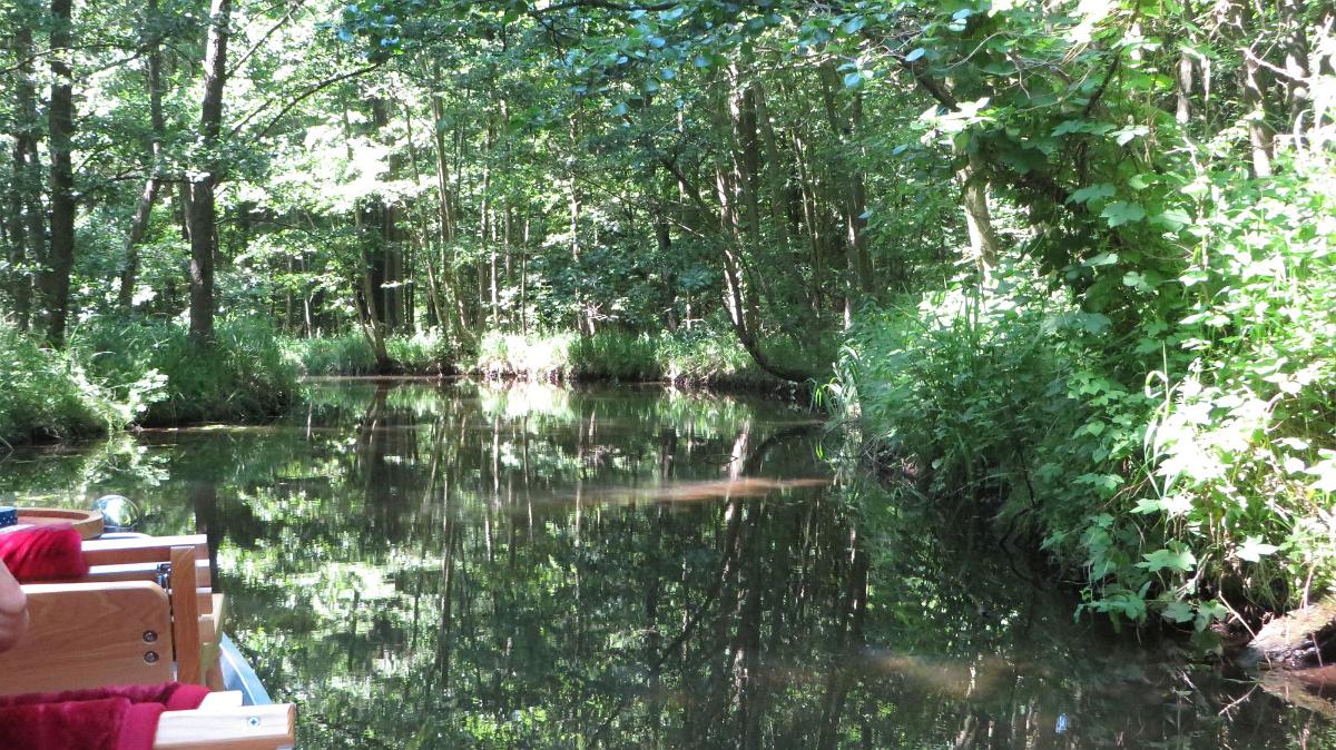 Spreewald (84)