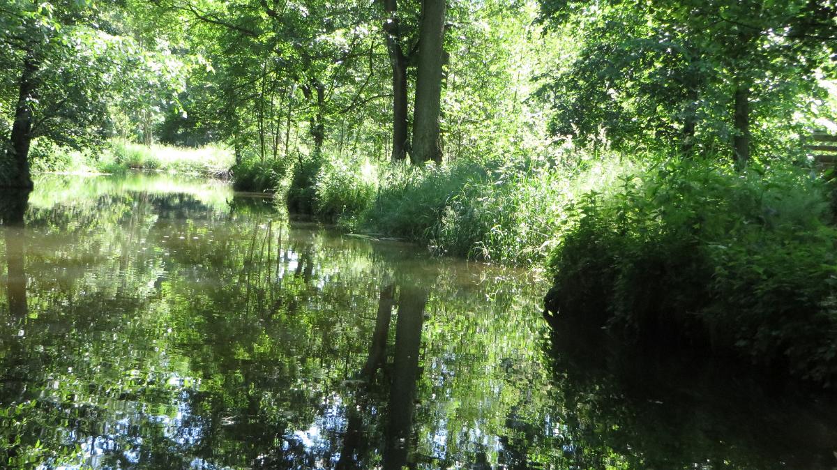 Spreewald (86)