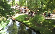 Spreewald (195)