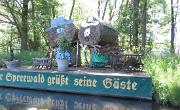 Spreewald (54)