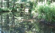 Spreewald (83)