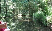 Spreewald (84)