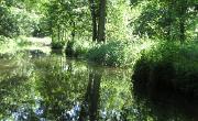 Spreewald (86)