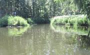 Spreewald (89)