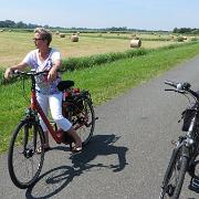 IMG 6526