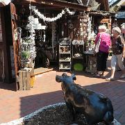 IMG 6551
