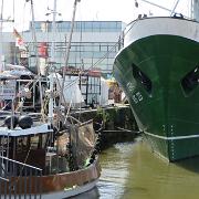 IMG 6557