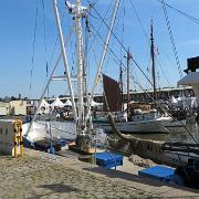 IMG 6562
