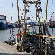 IMG 6563