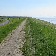 IMG 6568