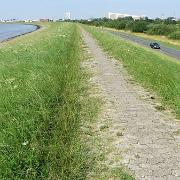 IMG 6571