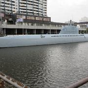 IMG 6601