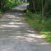 IMG 6864