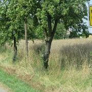 IMG 6876