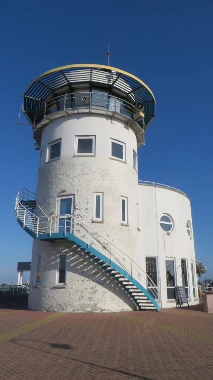 IMG 7981