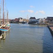 IMG 7982