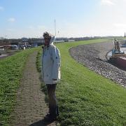 IMG 7988