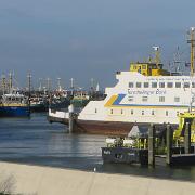 IMG 7991