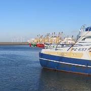 IMG 8057