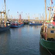 IMG 8064