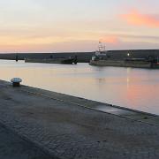 IMG 8088